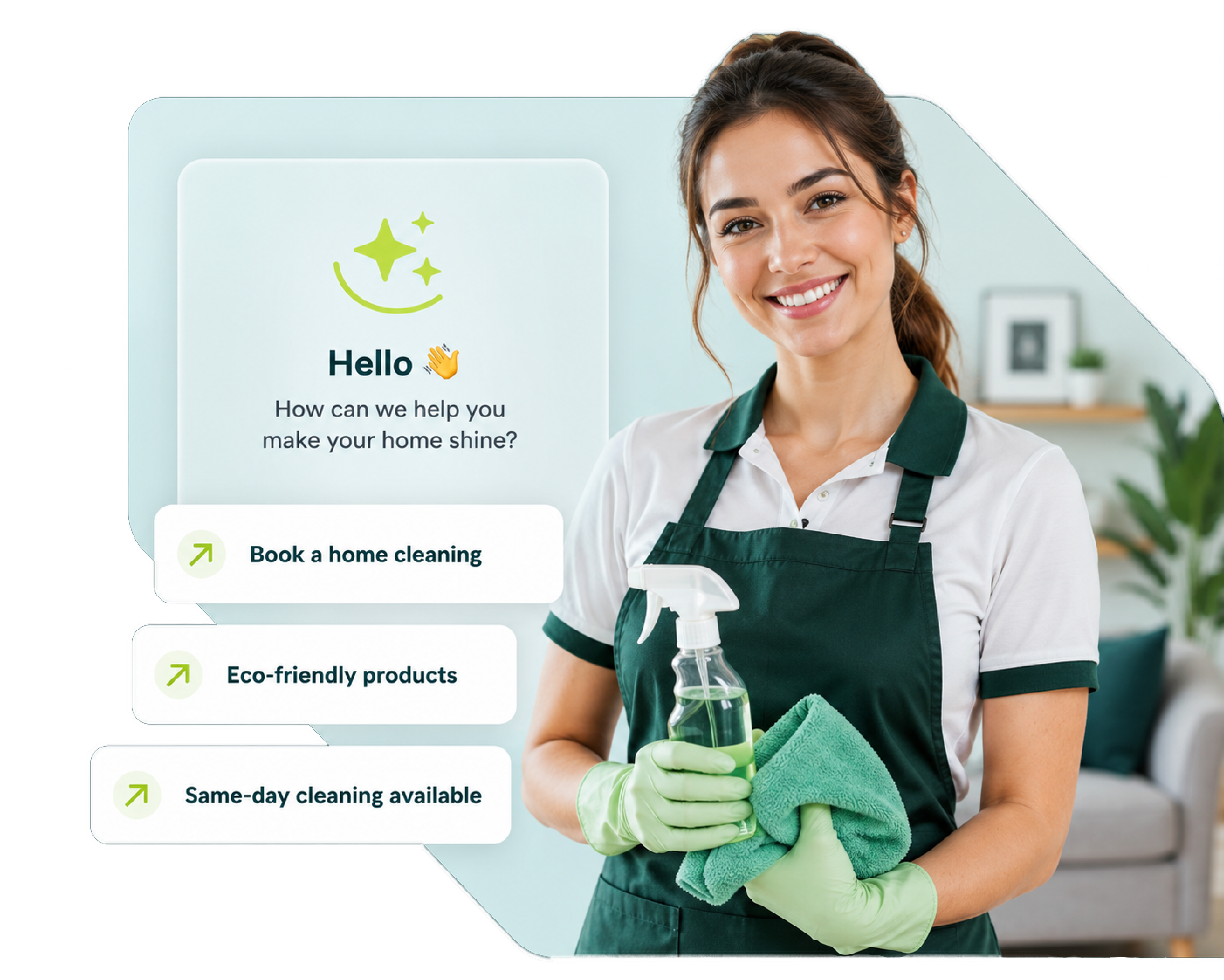 Professional cleaner